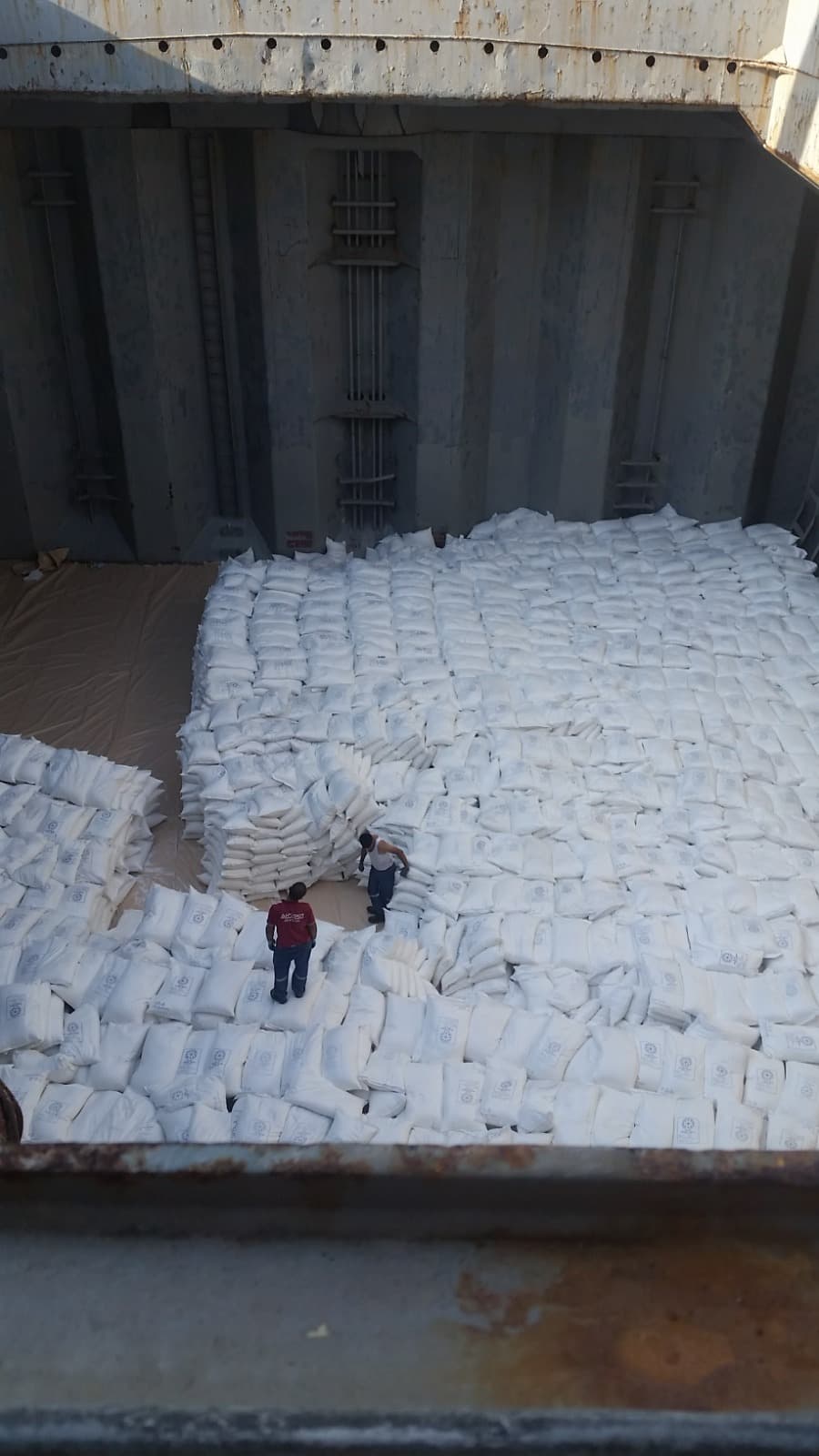 services.project2.title